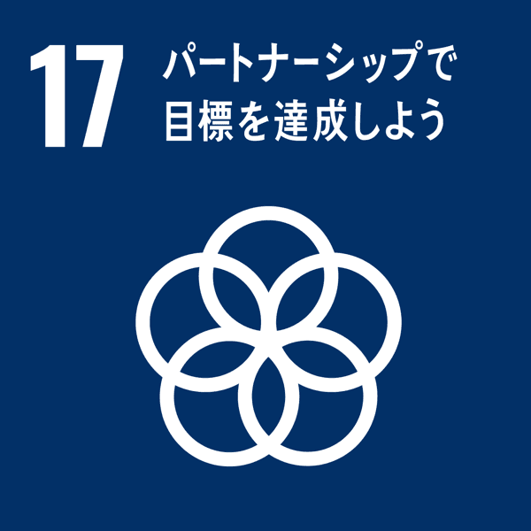 SDG 17: Partnerships for the Goals